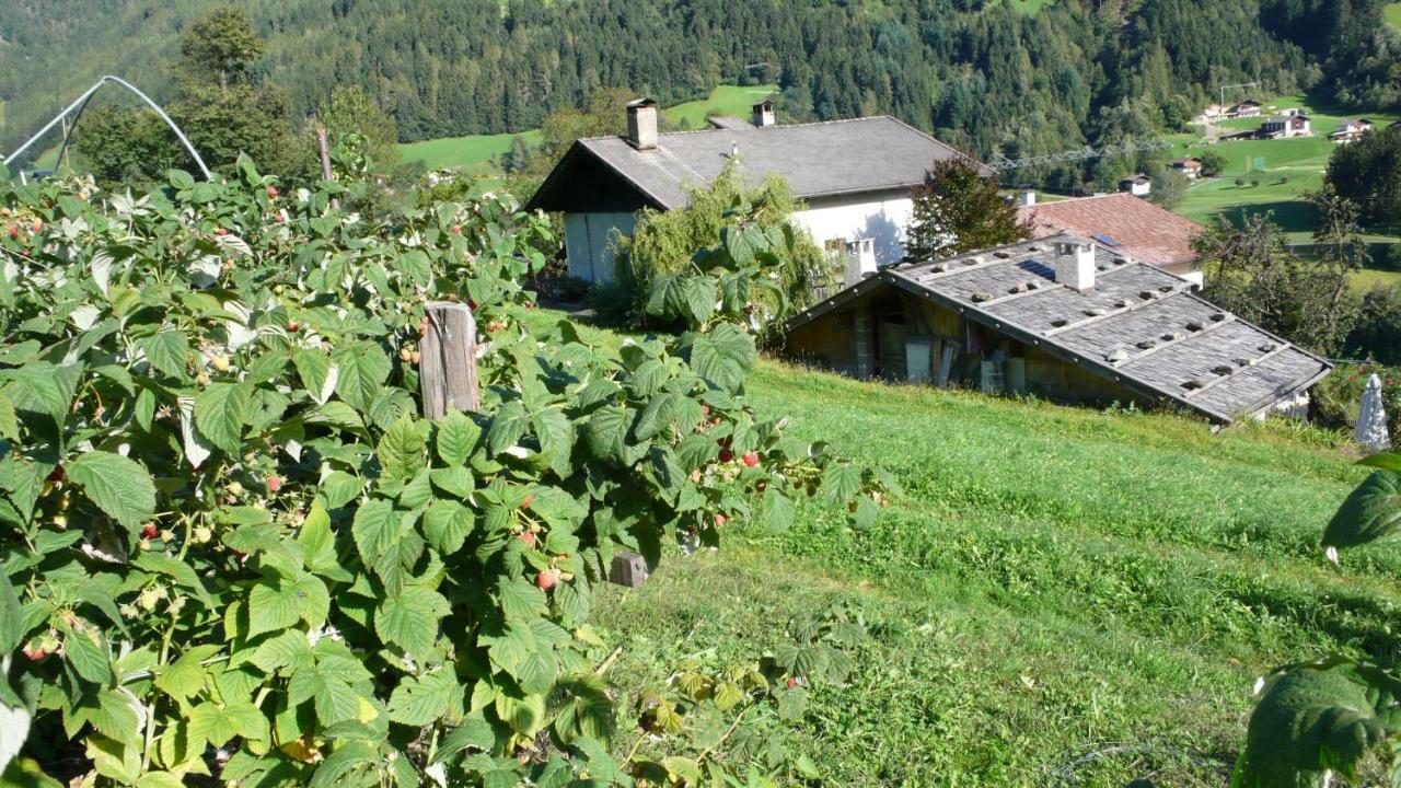 Obergereuth Hof 1288 Lägenhet San Martino In Passiria  Exteriör bild