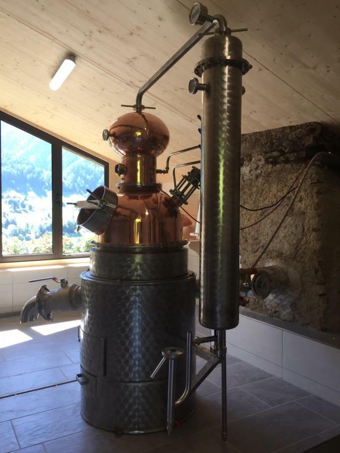 Obergereuth Hof 1288 Lägenhet San Martino In Passiria  Exteriör bild