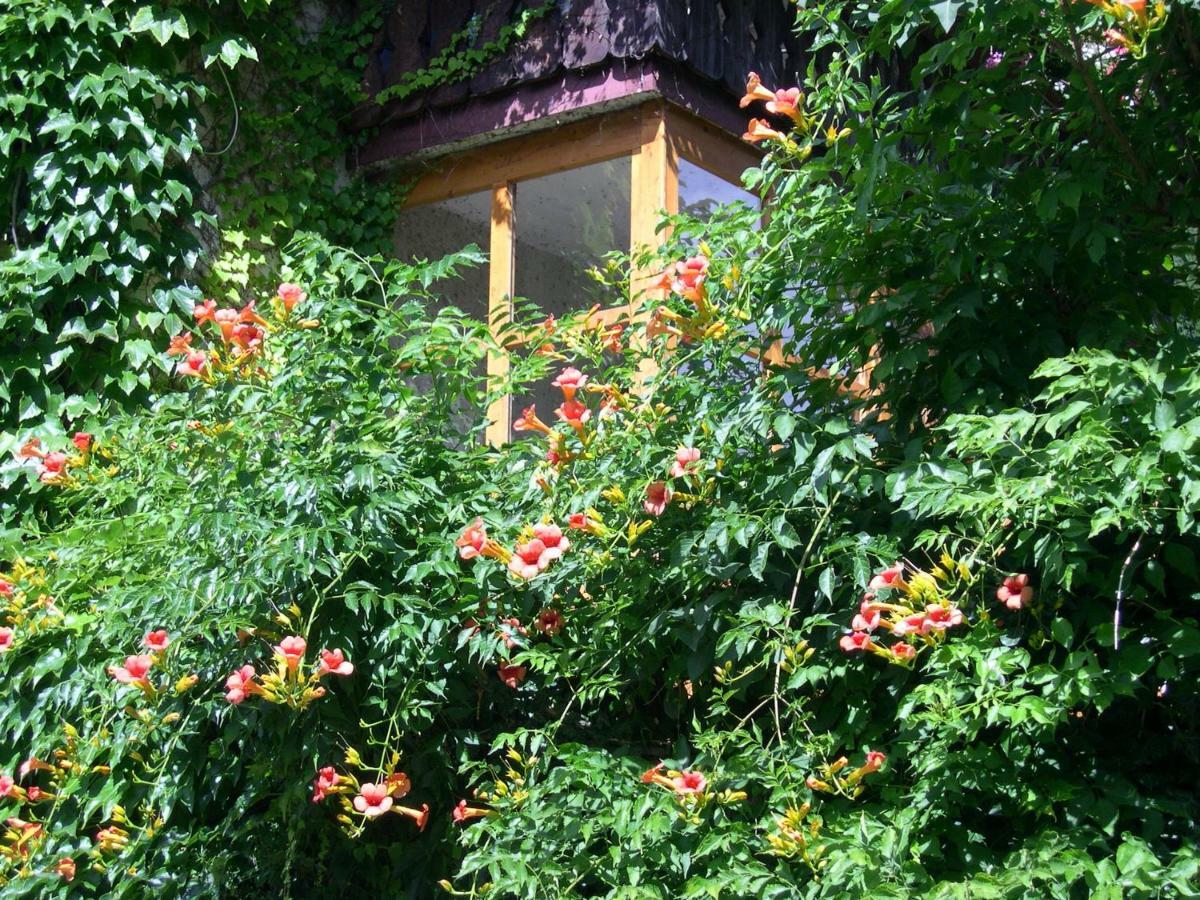 Obergereuth Hof 1288 Lägenhet San Martino In Passiria  Exteriör bild